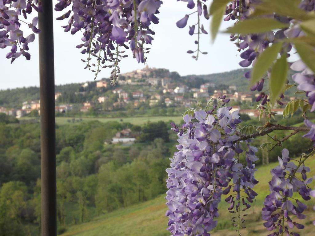 Agriturismo Gattogiallo Montegabbione Room photo