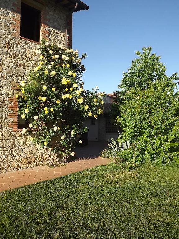 Agriturismo Gattogiallo Montegabbione Exterior photo